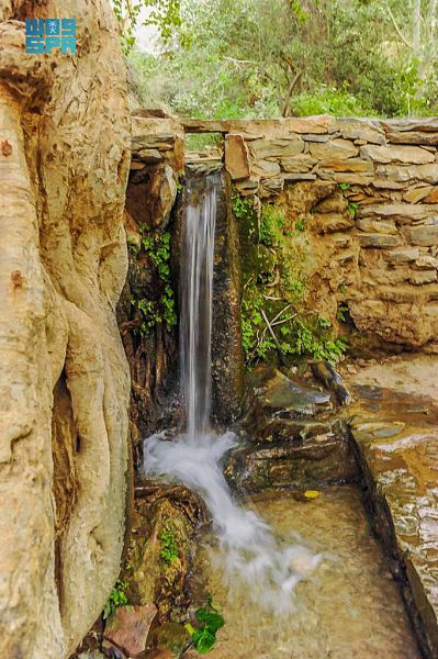 قرية ذي عين.. حصن الطبيعة والتراث والمياه المتدفقة