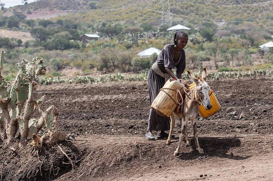 مجموعة العشرين مطالبة ببذل الجهود لتوفير اللقاحات للدول الفقيرة وتسريع الإعفاء من الديون.