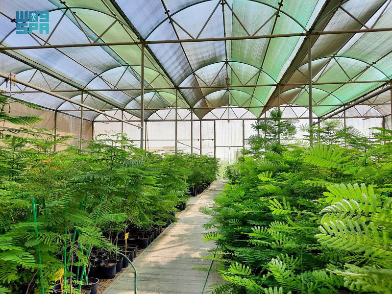 مليونا نبتة ينتجها مشتل الهيئة الملكية بالجبيل الصناعية سنويا