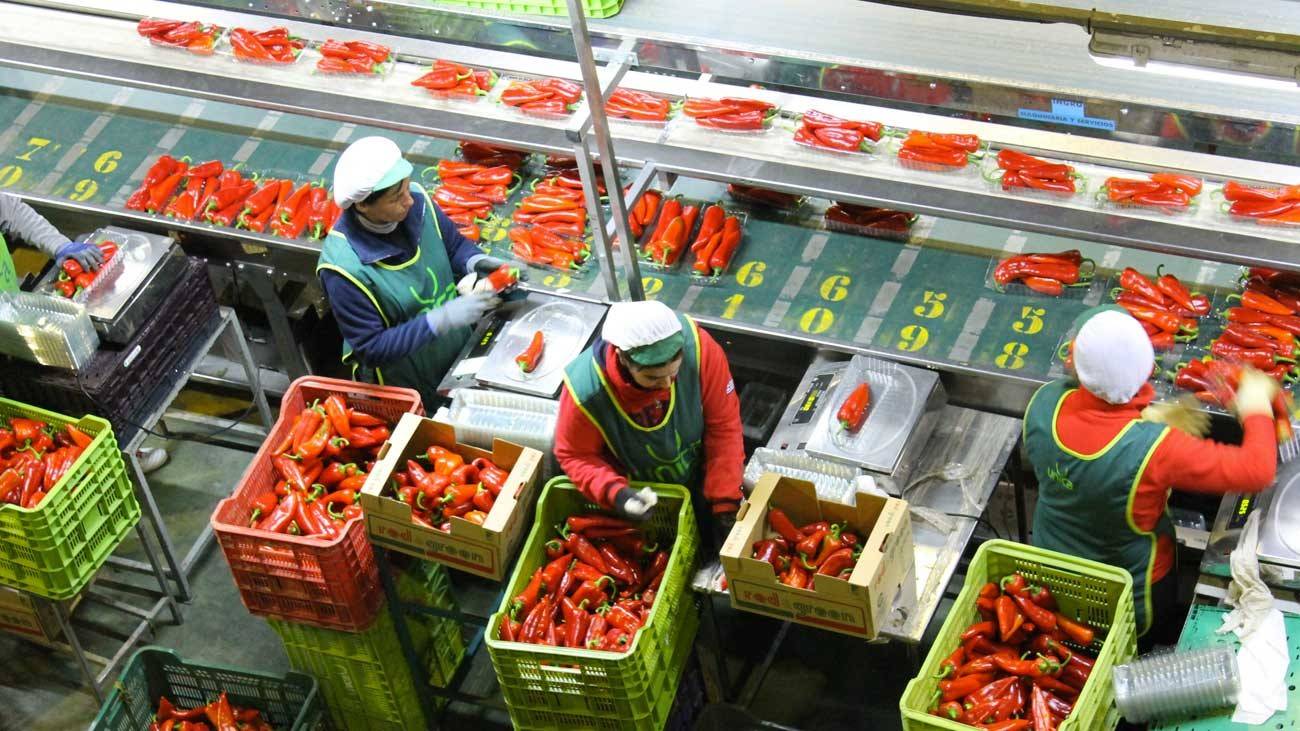 يرجع التعافي الاقتصادي في إسبانيا وإيطاليا جزئيا إلى تخفيف إجراءات الاغلاق.