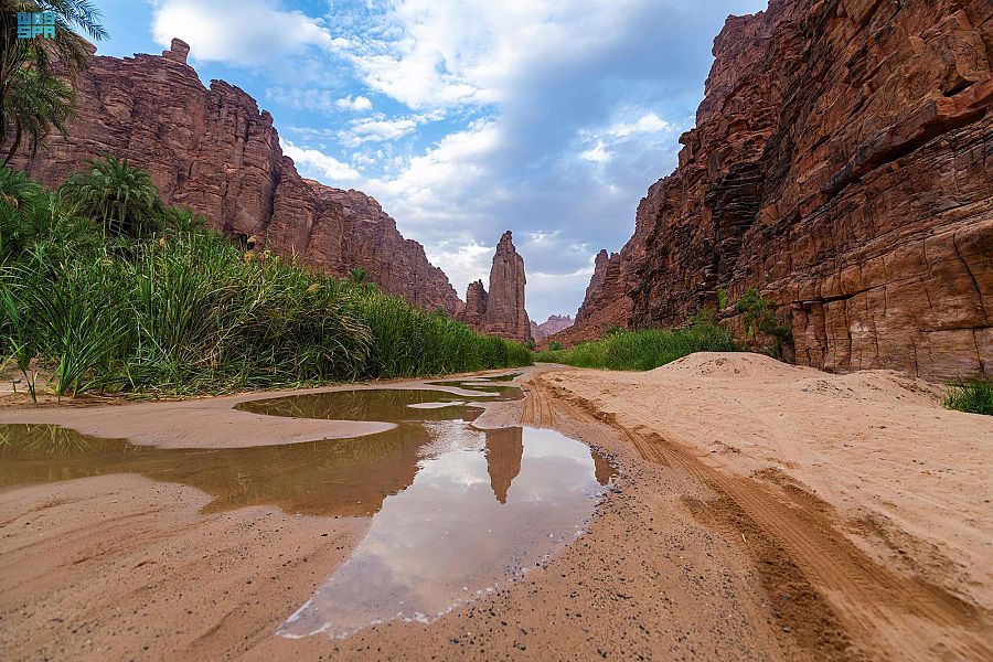 وادي الديسة يأسر زوار تبوك بتضاريسه ومغامراته في "صيف السعودية"