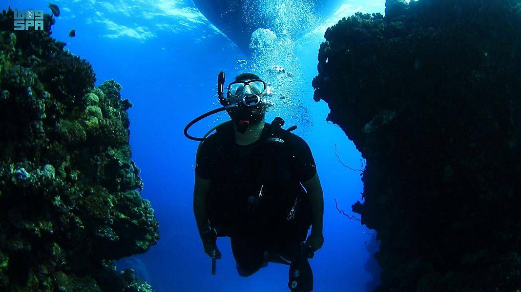 تصنف ينبع من ضمن الأماكن المفضلة للغواصين عالميا. "واس"