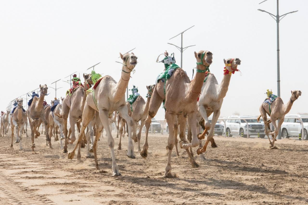 البنك الدولي سيخفض إقراضه للصين