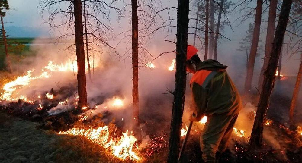 يحمل الخبراء التغير المناخي مسؤولية الحرائق.