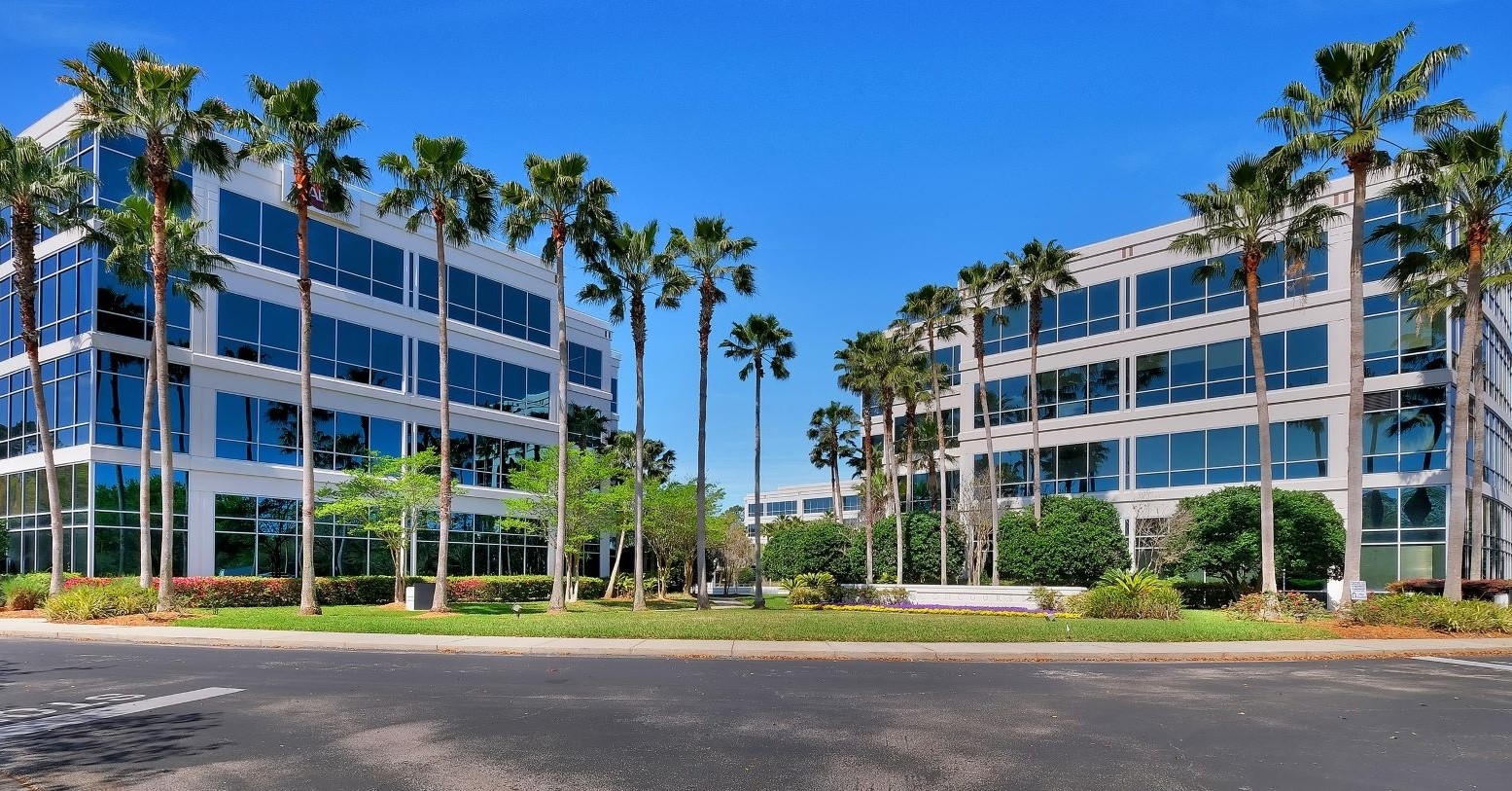 "الخليج للاستثمار الإسلامي" تعتزم استثمار مليار دولار في السعودية