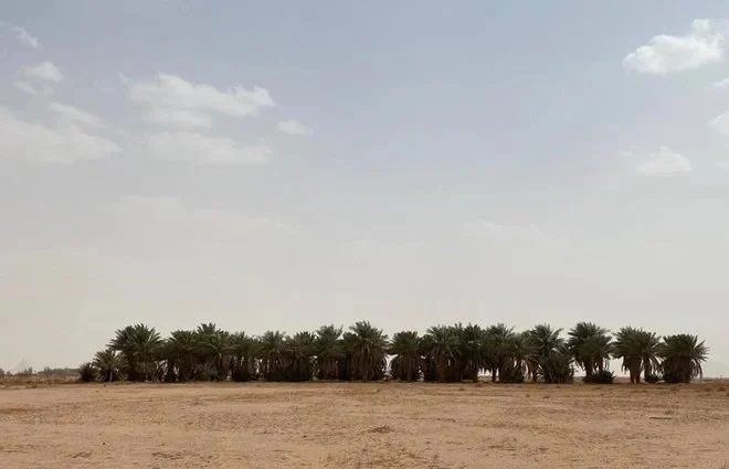 بعد إنجارها من "إحكام" .. تسليم عدد من المواطنين وثائقهم لطلبات تملك العقارات في حائل
