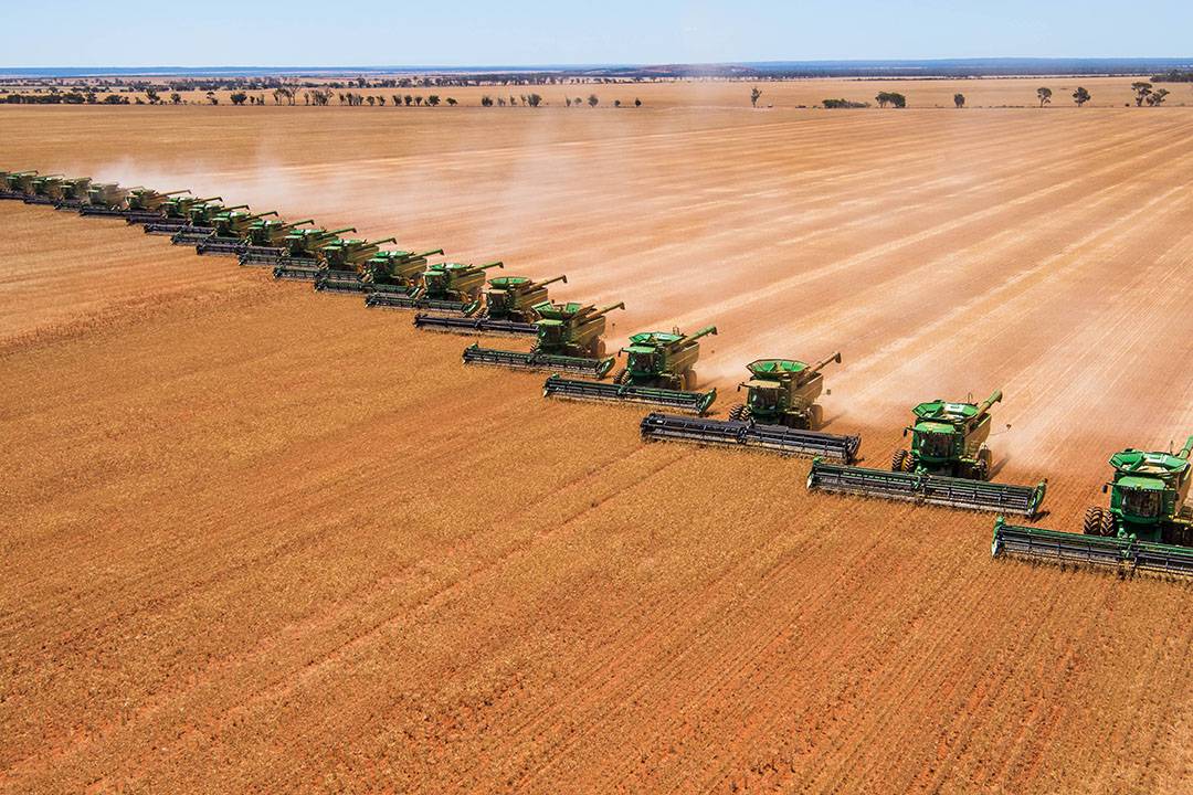 السعودية جاءت في المرتبة الـ 8 عالميا في وفرة الغذاء خلال عام 2020.