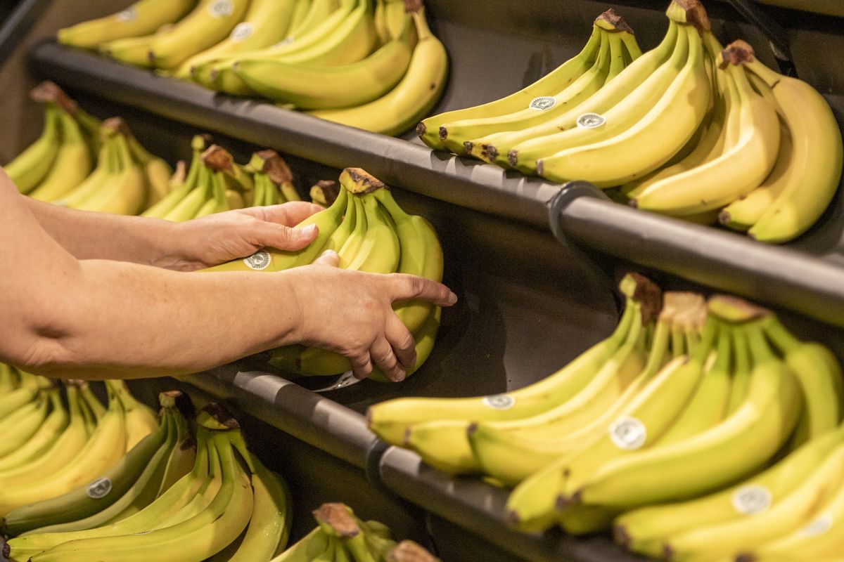 بسبب أكل الموز.. تركيا تعتزم ترحيل مهاجرين سوريين