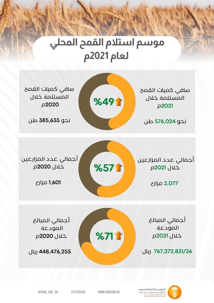 576 ألف طن توريد المزارعين للقمح المحلي في 2021 .. بارتفاع 49 %