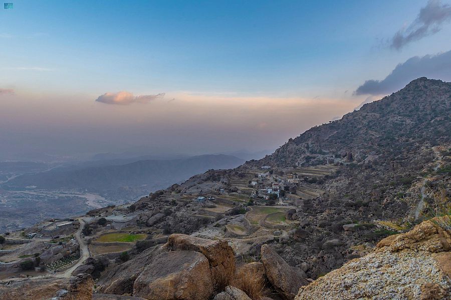 "البن الشدوي" .. كنز الطبيعة منذ مئات السنين في الباحة