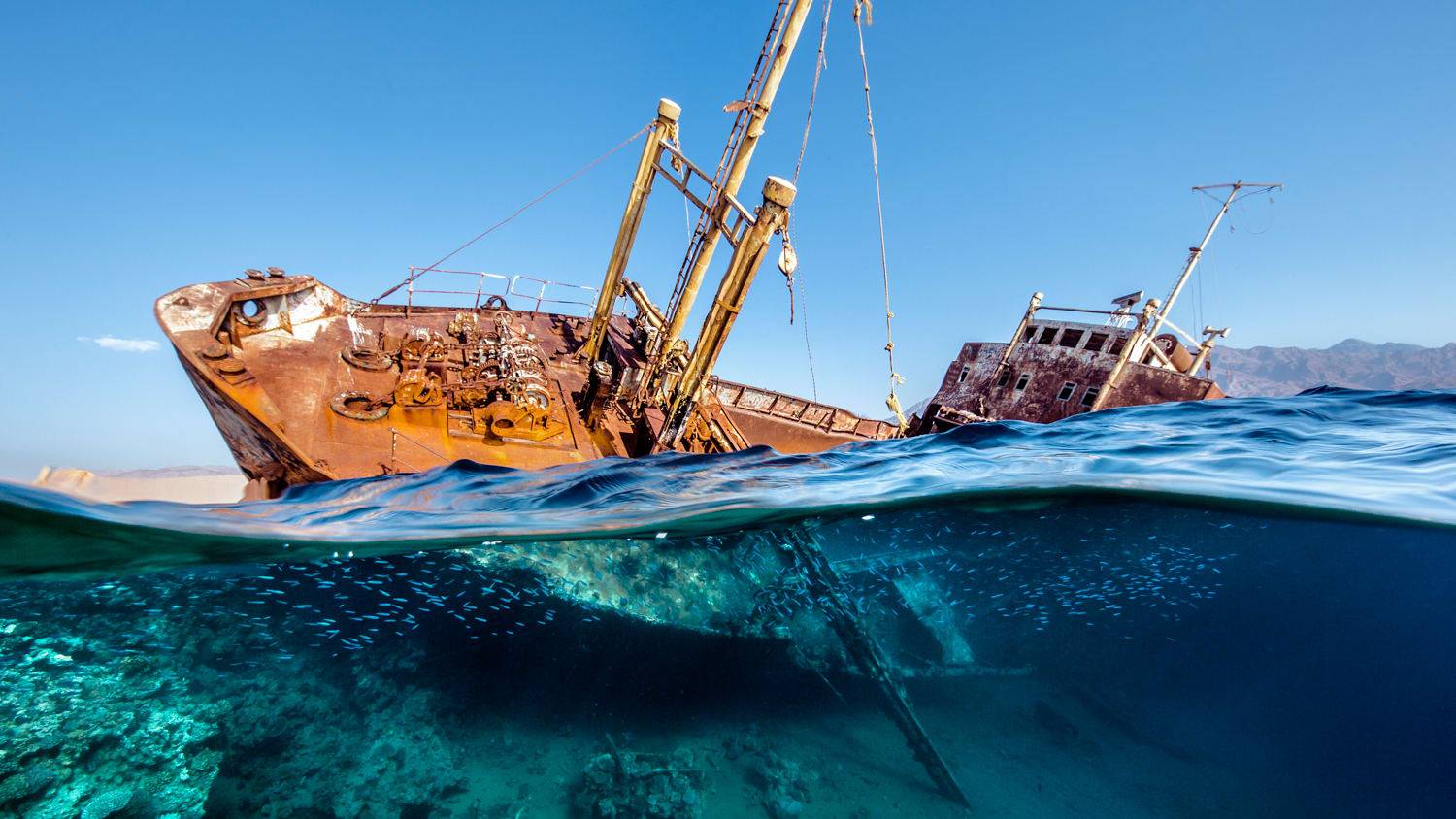 تثير الباخرة الغارقة فضول الزوار.