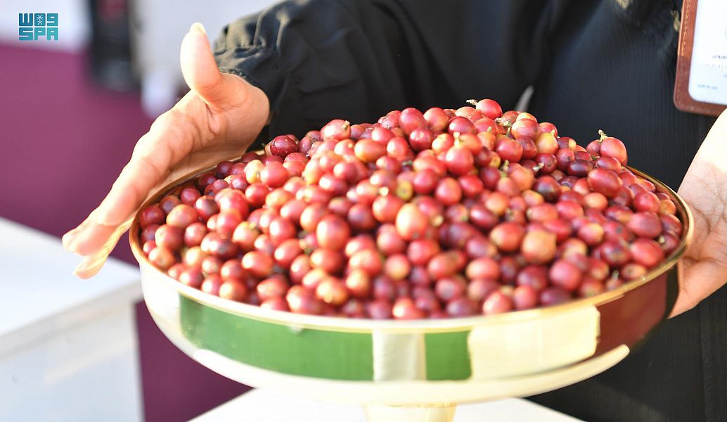 محفزات وطنية تستثمر صناعة "البن الخولاني السعودي"