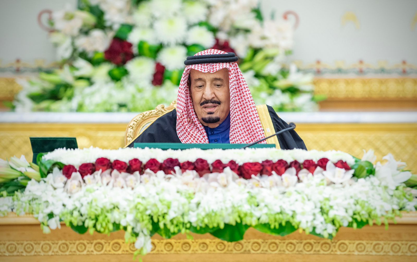 الترخيص لبنك "دال ثلاثمائة وستون" .. وتحمل رسوم تأشيرة عمالة الهدي والأضاحي