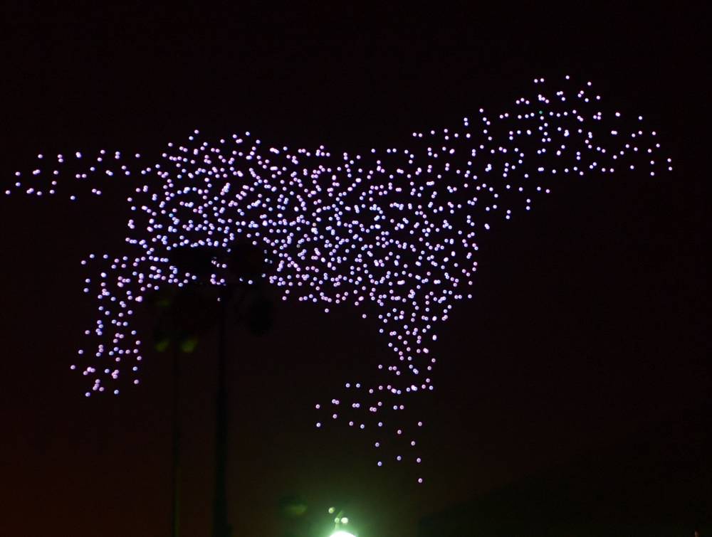 تصوير: بشير صالح