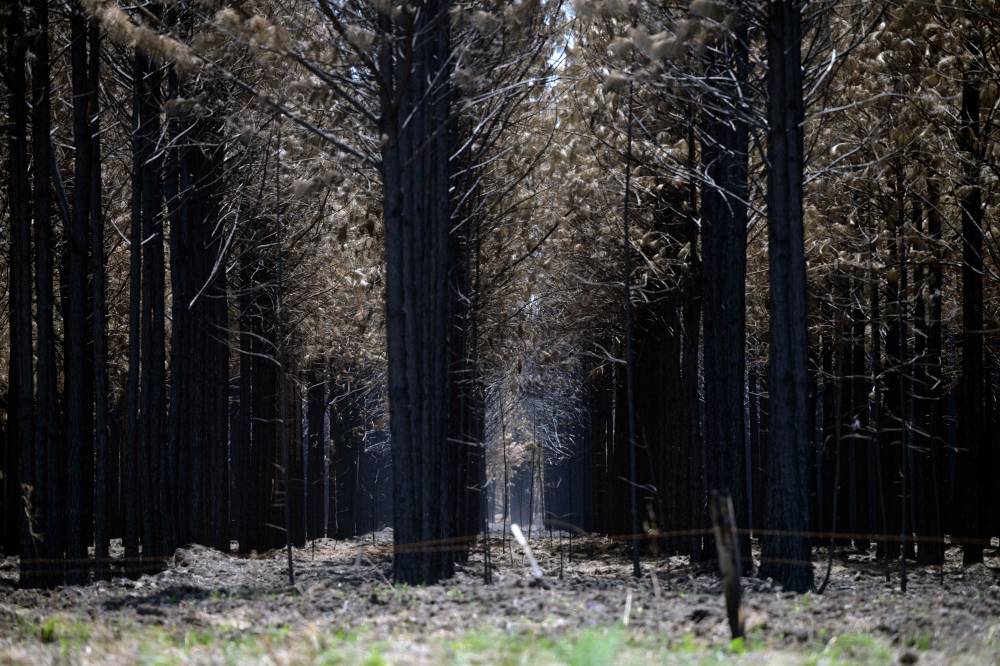 مخاوف بيئية تهدد خطة مشروع القطار المغناطيسي المعلق في اليابان