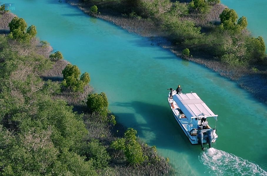 برنامج جودة الحياة في 2021.. تقدم في تحقيق مؤشرات القطاعات وتنامي فرص التمكين والتأهيل ضمن المبادرات