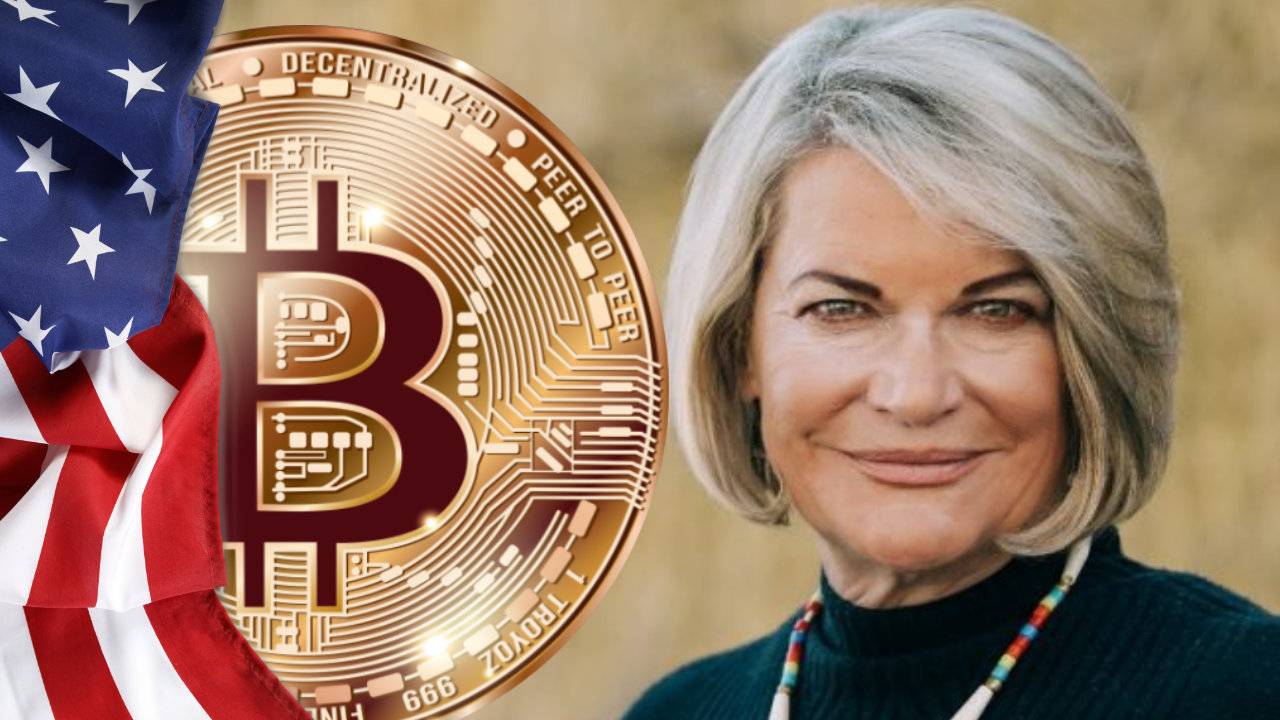 سينثيا لوميس، عضو مجلس الشيوخ الأمريكي عن ولاية وايومنج