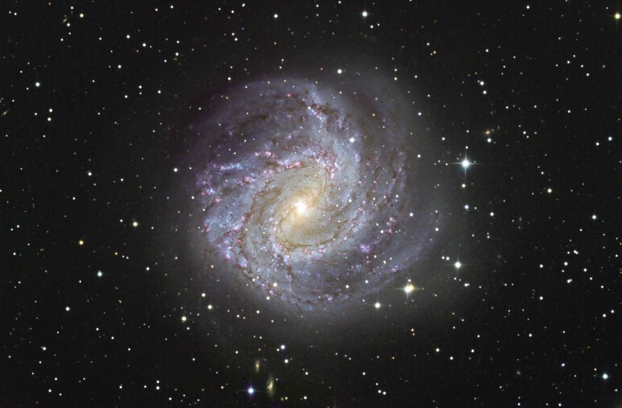 كيف يمكن أن يكون لدى بعض الأشخاص مناعة مسبقة ضد فيروس كورونا؟