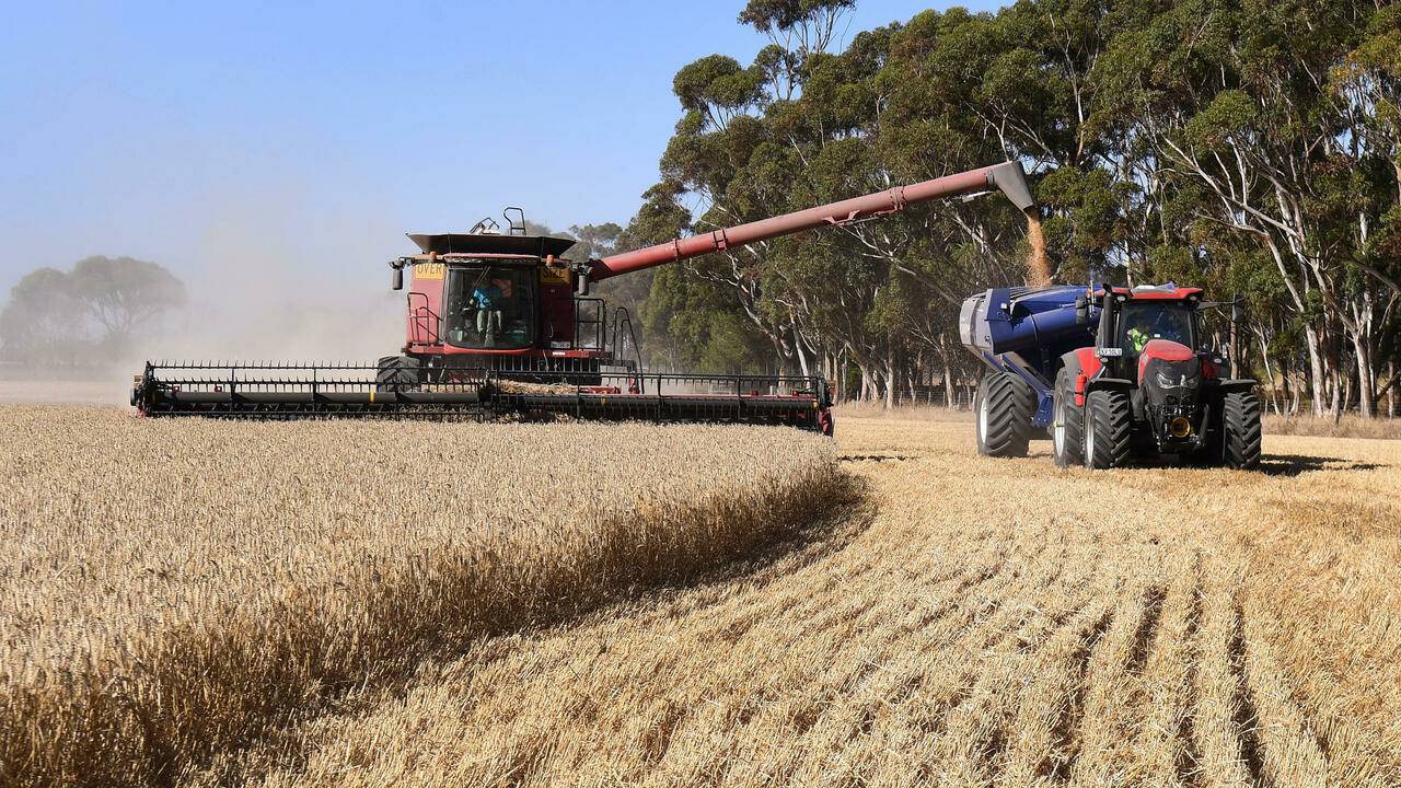 الغذاء له ثقل أكبر في سلال التضخم في الدول الإفريقية.