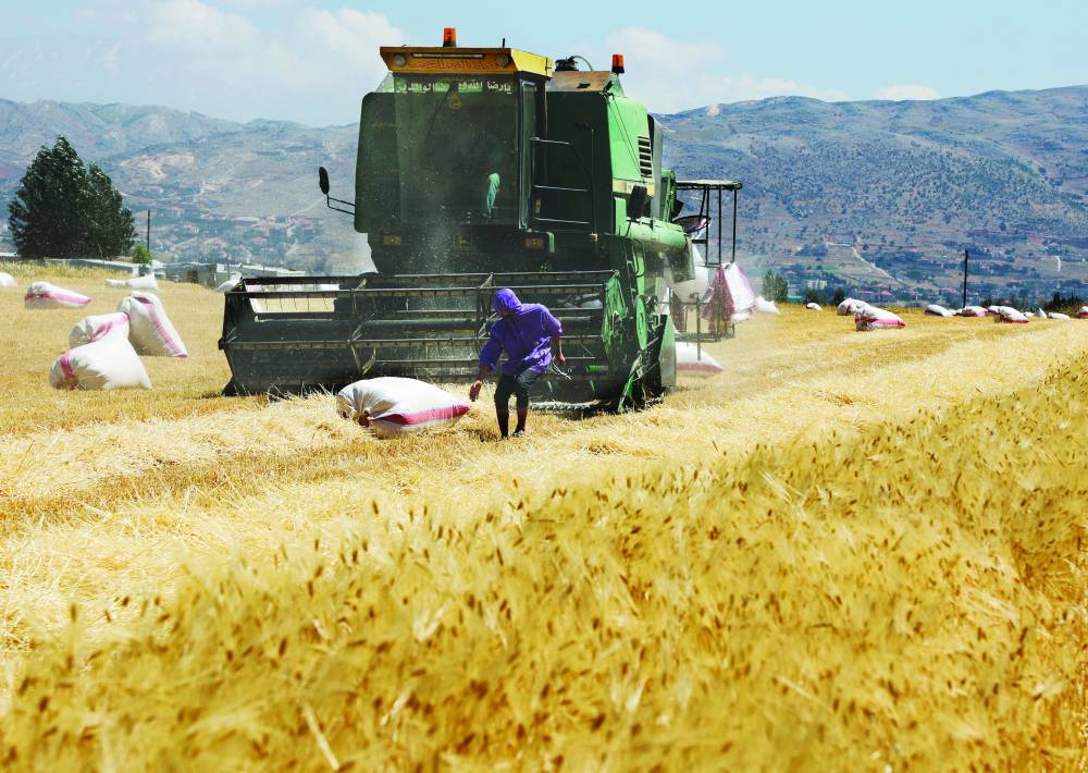 الاستثمارات لزيادة المحاصيل وإدارة الأراضي الزراعية بشكل أفضل من شأنها تحفيز الإنتاج.