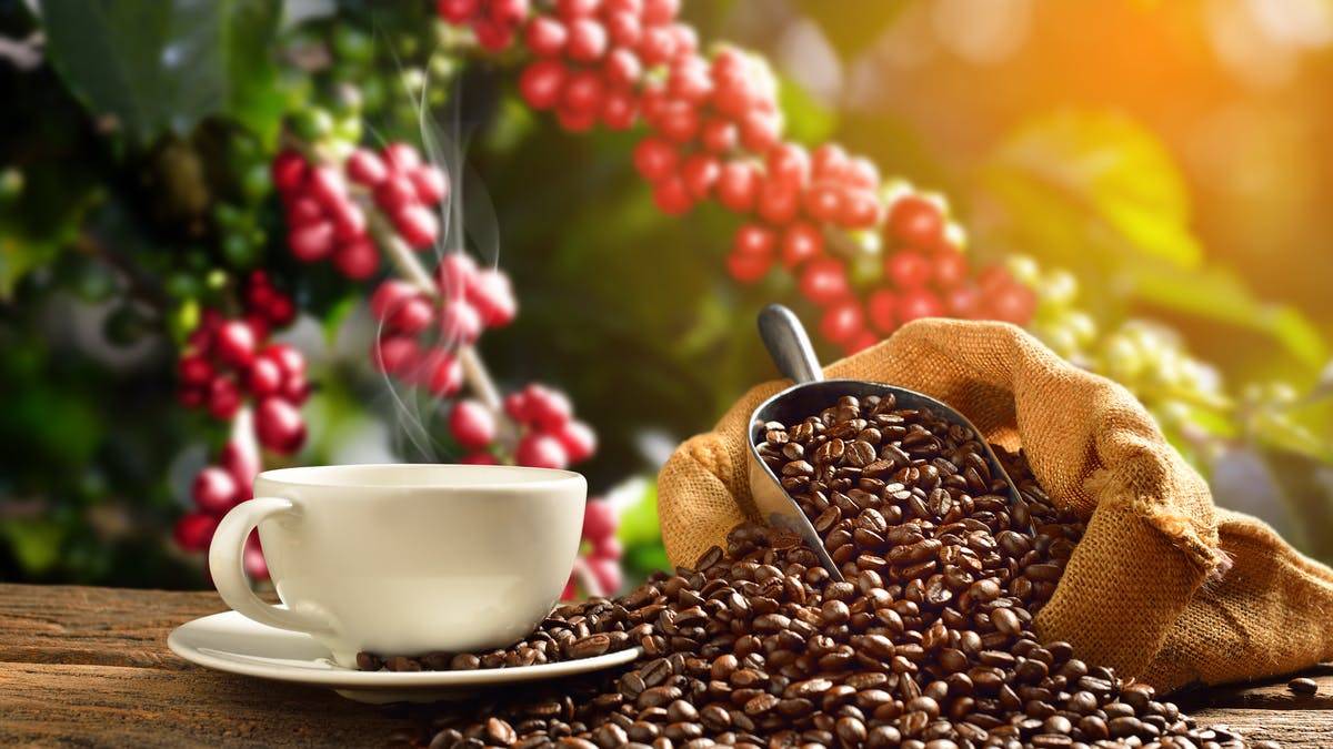 وصول رائدين روسيين ورائدة أمريكية إلى محطة الفضاء الدولية 