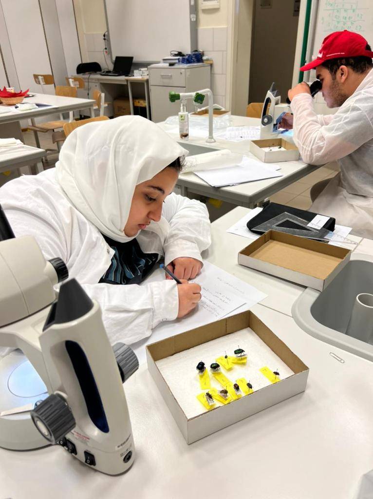  تعمل المؤسسة على تنمية الإبداع للطلاب واكتشاف مواهبهم.