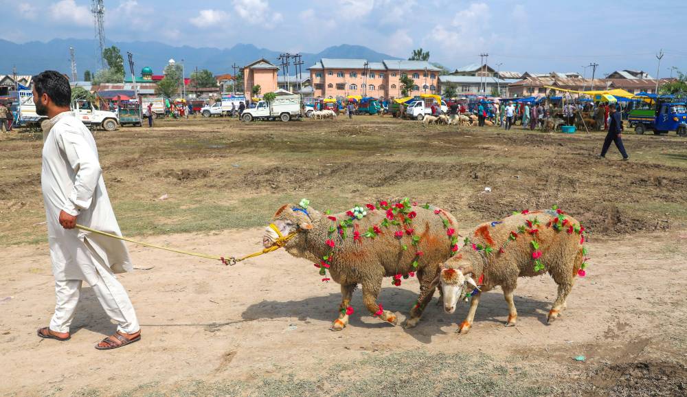 وزارة العدل الأمريكية تقاضي "جوجل"  بسبب الاحتكار غير القانوني للبحث 