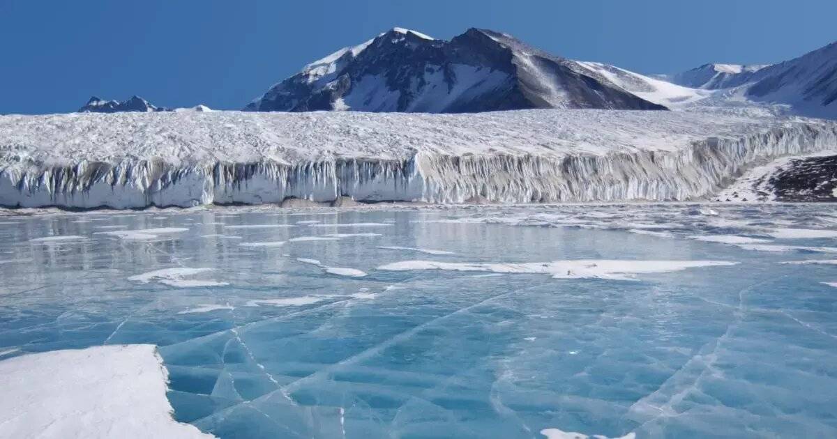 رئيسة C20: المجموعة أحرزت أرقاما قياسية لأول مرة في تاريخ «العشرين»