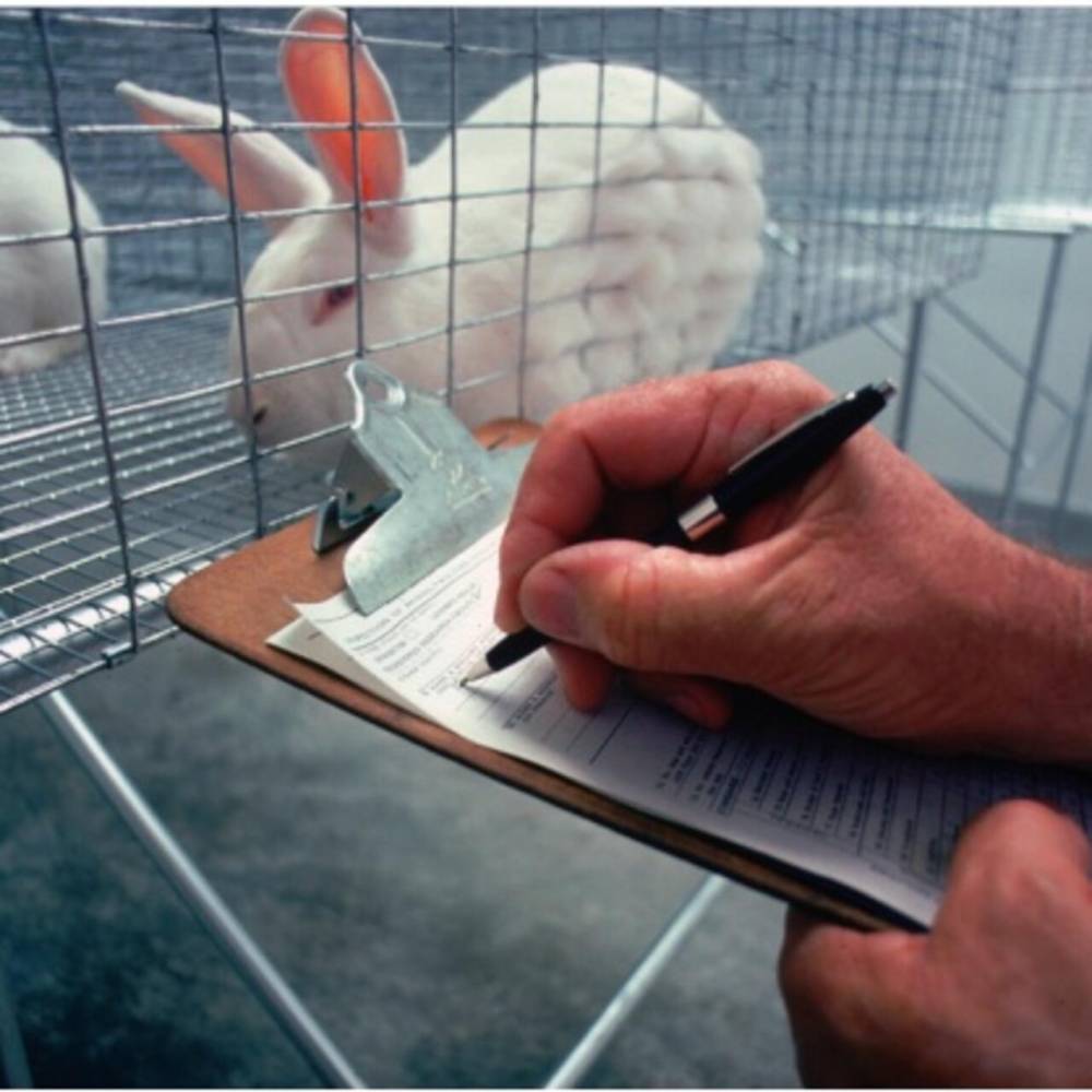 مبادرات الرياض تعالج الثغرات أمام الجوائح المستقبلية