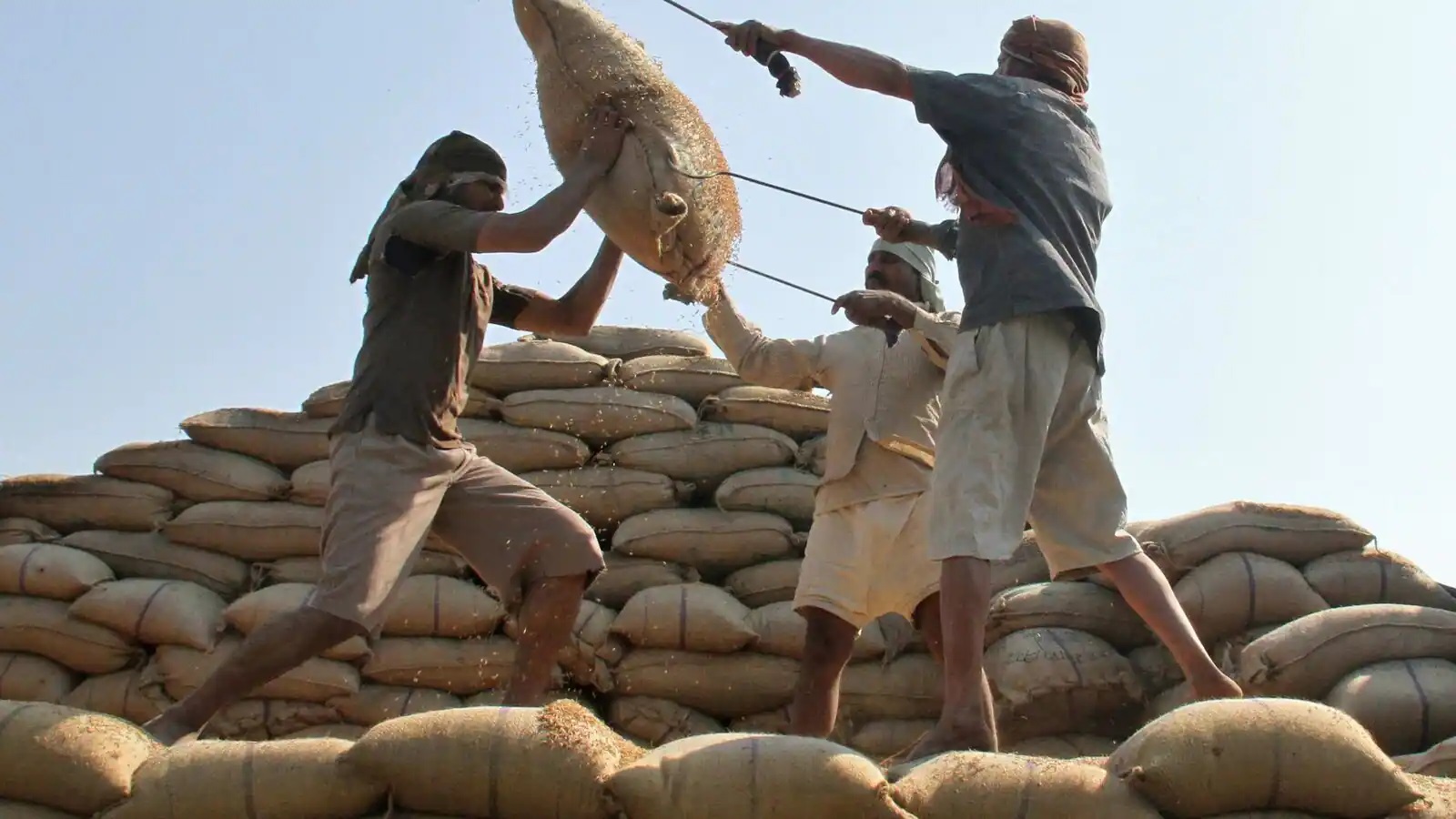 أزمة الغذاء قد تتفاقم .. توقعات بفرض الهند قيودا على تصدير الأرز