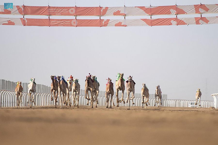 هجن الشحانية تحقق 3 انتصارات في مهرجان ولي العهد