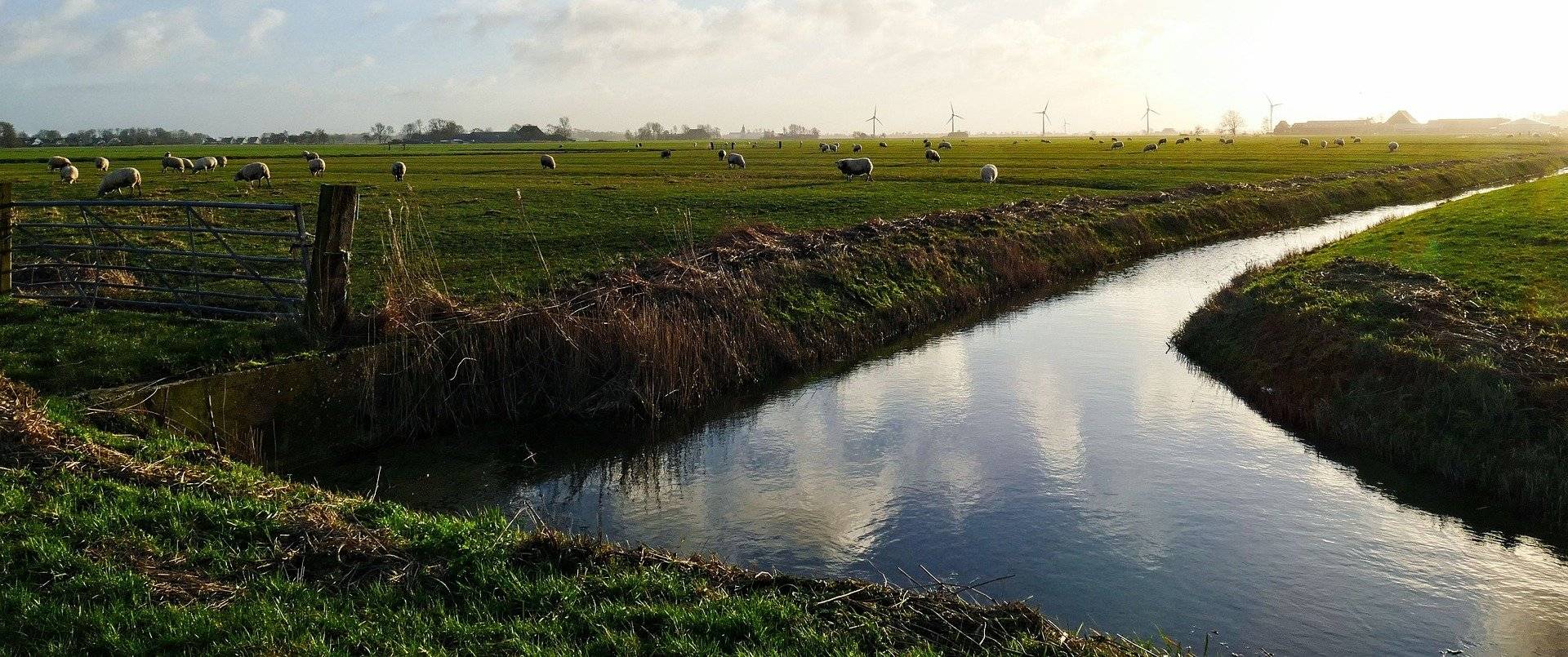 كلوب: لم نسجل لكن أداء ليفربول لم ينخفض