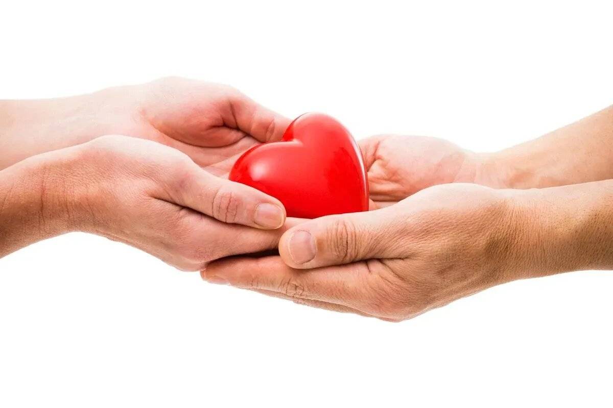مجهول يتبرع بقلبه لأب ألماني ويمنحه 32 عاما إضافية
