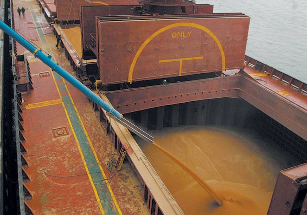 عودة صقور «الوكري» و«الشاهين الجبلي» إلى جبال المملكة