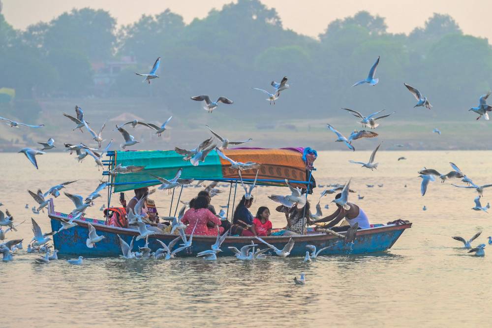 طيور تحيط بهنود خلال جولتهم بالقارب في مدينة برايا جراج. "الفرنسية"