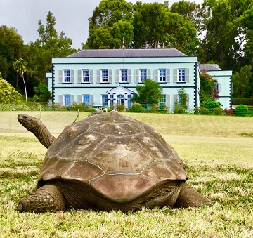 أقدم سلحفاة في العالم تحتفل بعيد ميلادها الـ 190