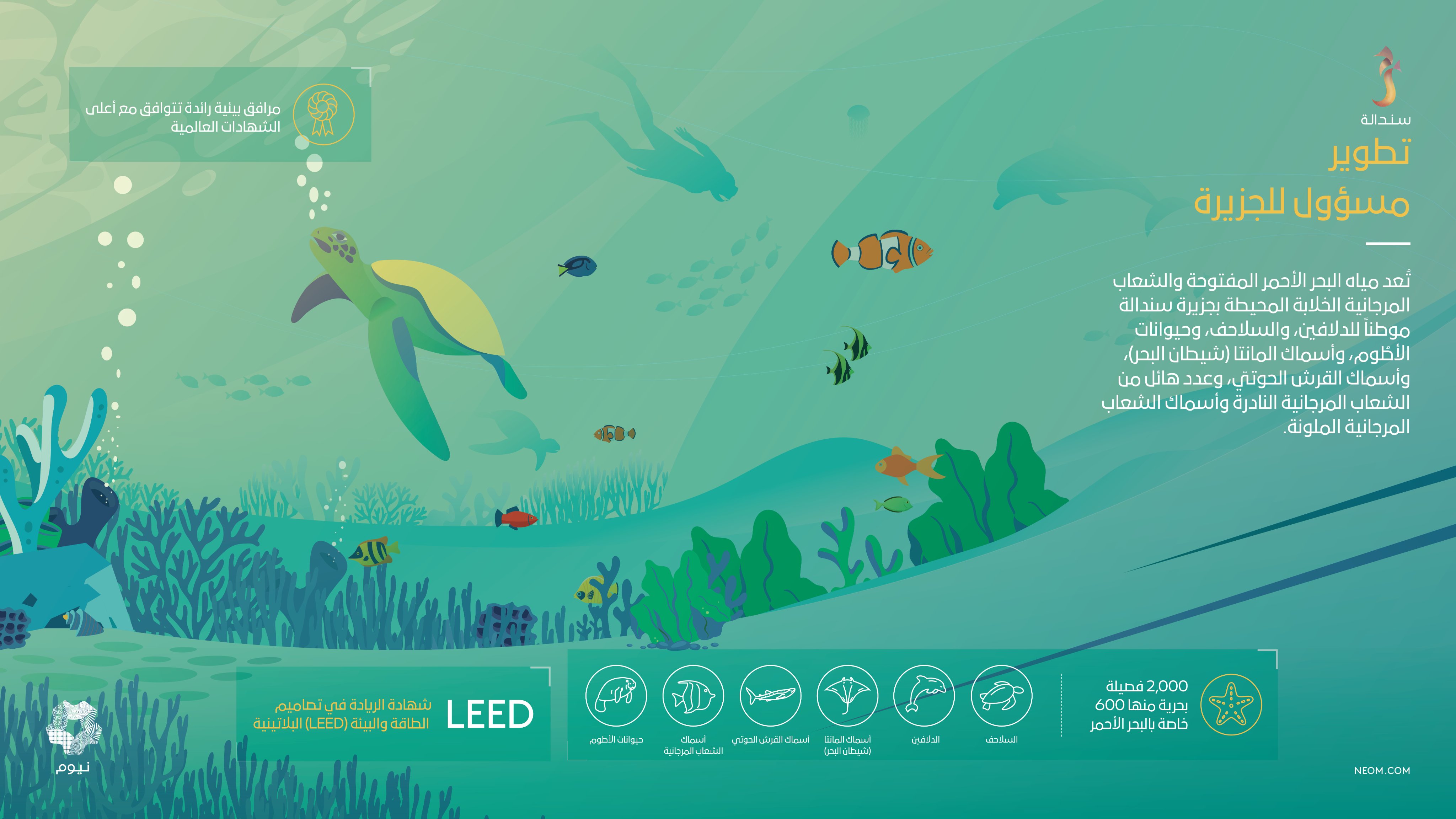 ولي العهد يعلن تطوير جزيرة «سندالة» .. أولى الوجهات البحرية الفاخرة في «نيوم»