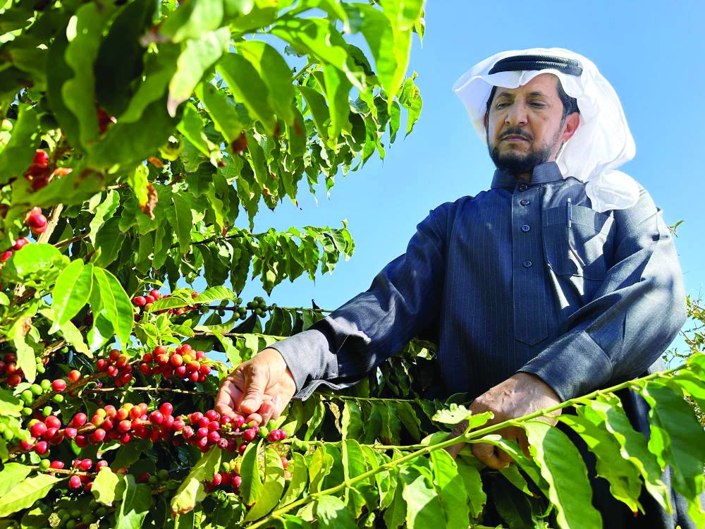 ضعف الدولار يعزز ارتفاع أسعار النفط في العقود الآجلة .. ومخاوف الطلب في آسيا مستمرة