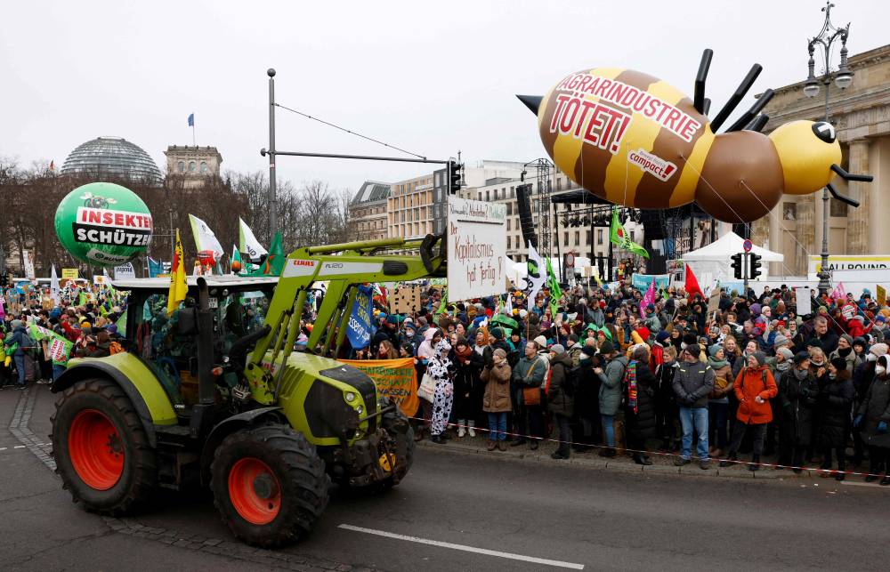 الفرار من البركان
