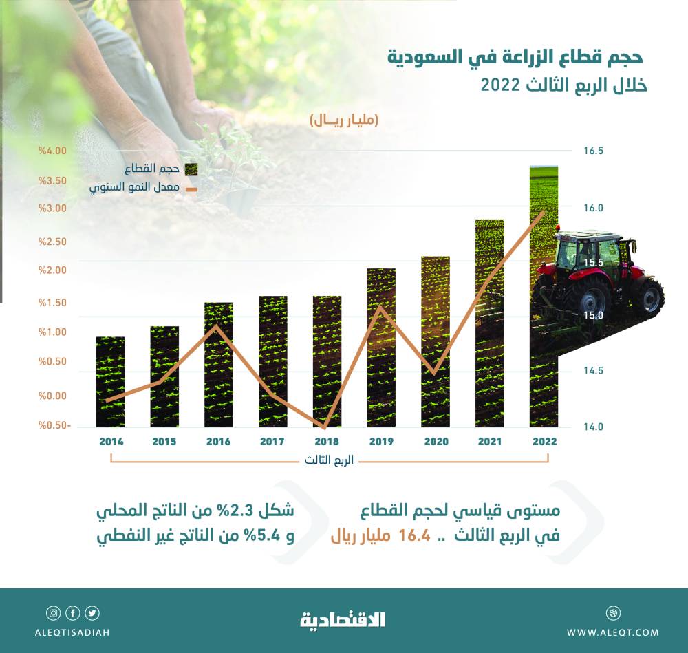 "المصافي": تعيين رئيس مجلس الإدارة ونائبه وتشكيل لجان المجلس للدورة الجديدة