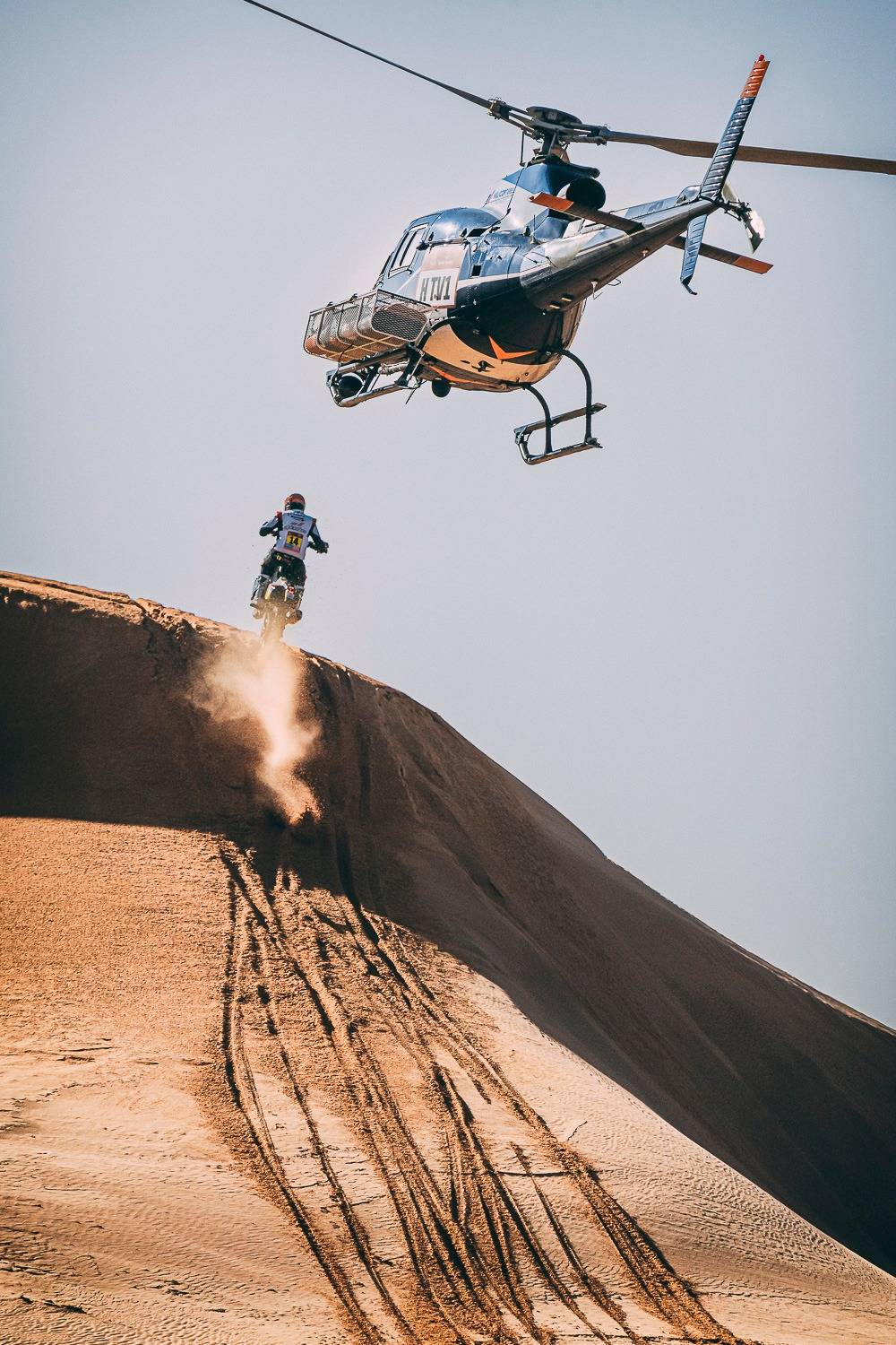 مركز الملك سلمان للإغاثة يوزع 11.900 كرتون من التمور في عدن