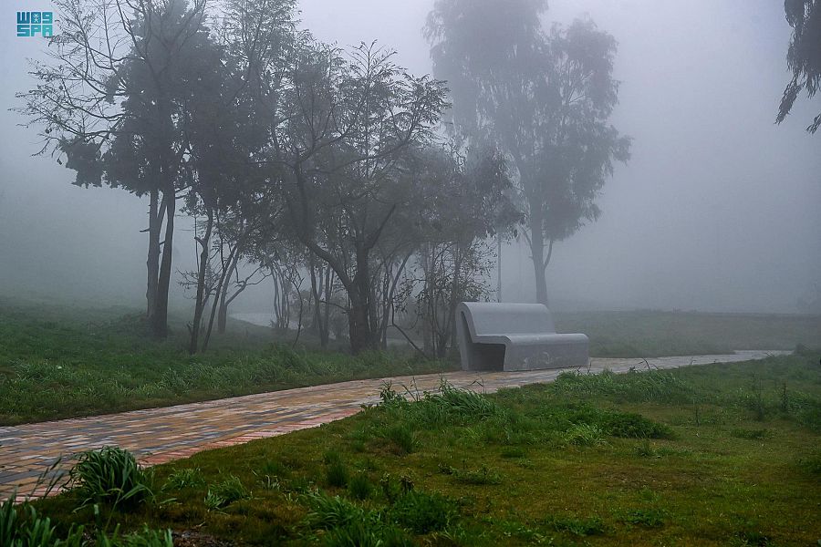 الضباب يغطي أجواء الباحة