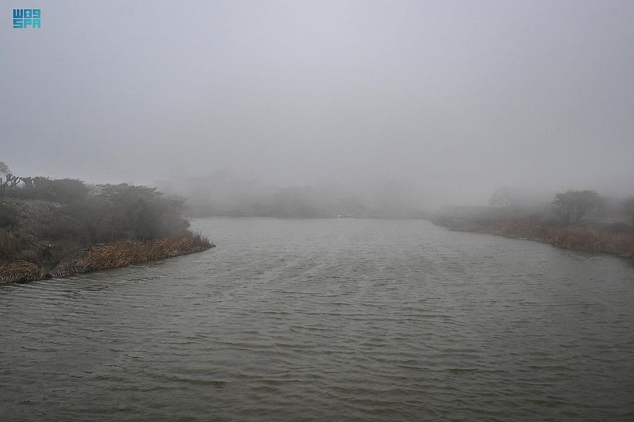 الضباب يغطي أجواء الباحة