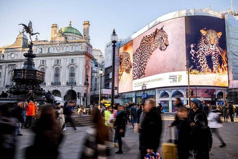 وزير المالية: قرار دمج “التقاعد” في “التأمينات” يعزز المركز المالي للصندوق التقاعدي