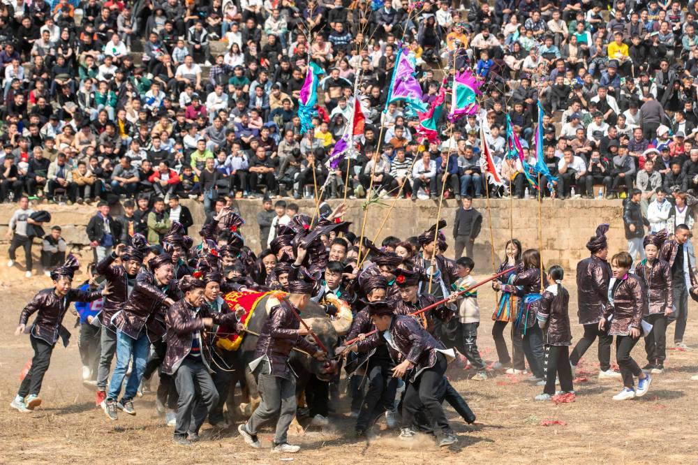 ازدهار الأتمتة في عصر الجائحة