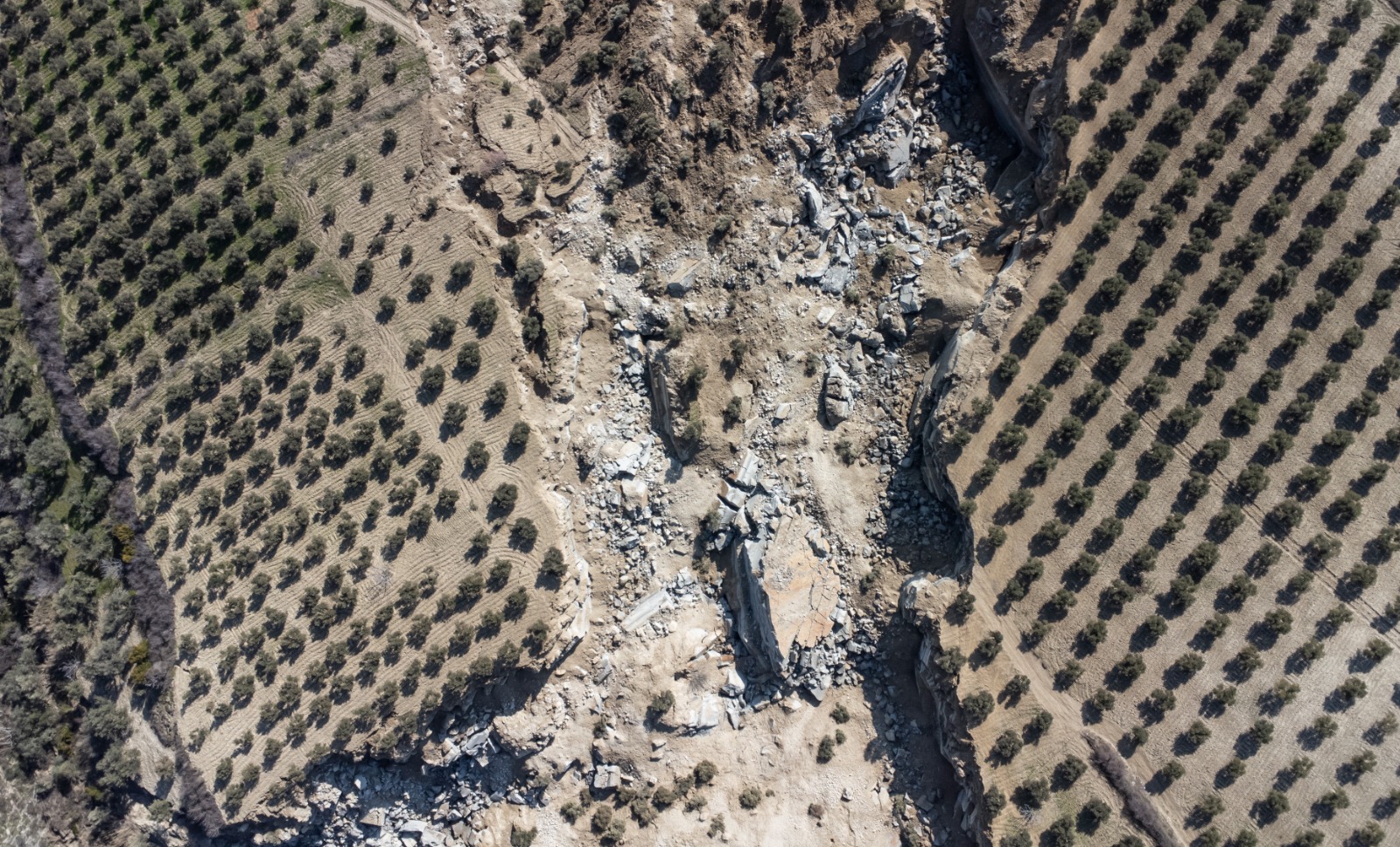 طائرة دون طيار تلتقط صورا لصدع داخل حقول الزيتون في هاتاي جنوب تركيا