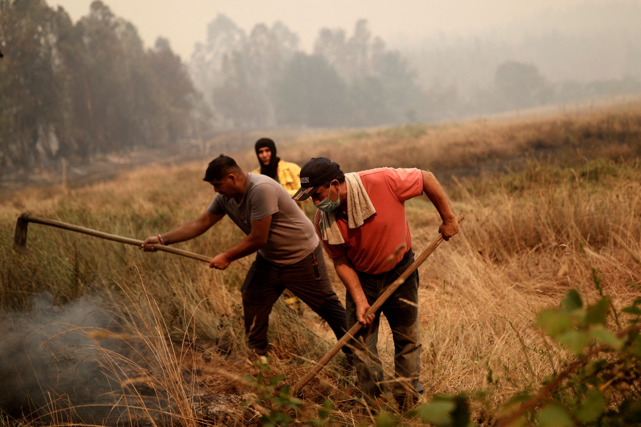 موجة حر تستعر .. 200 حريق في غابات تشيلي تخلف 13 قتيلا