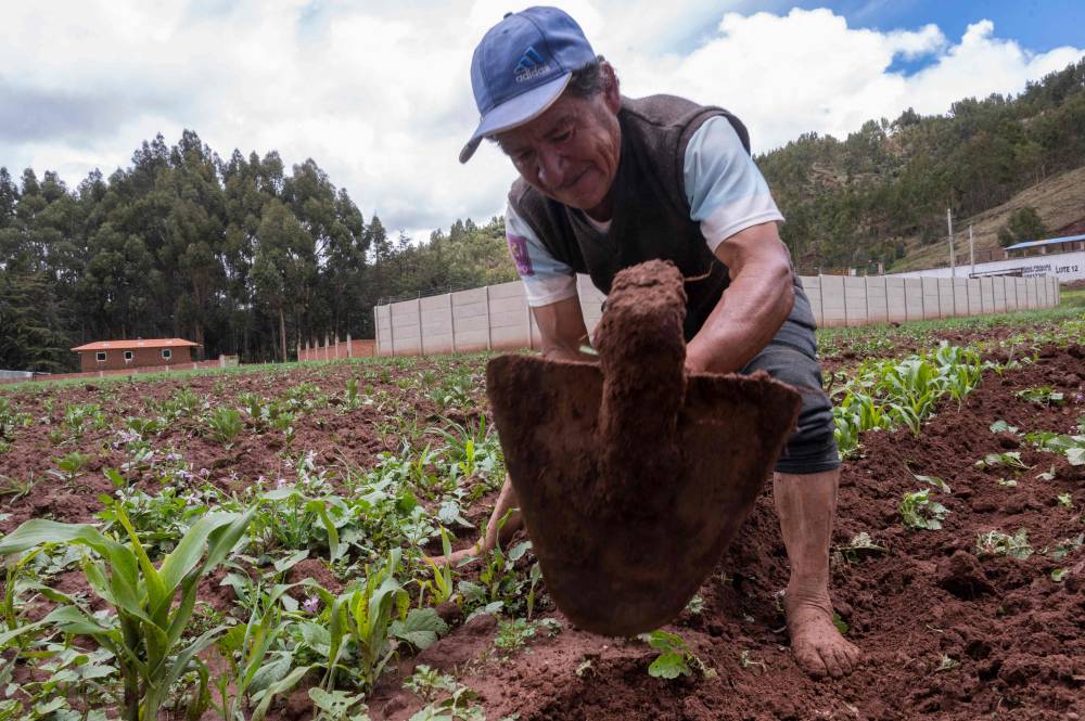 وشاية وتطبيق تراسل يوجهان صفعة للجريمة المنظمة على مستوى العالم