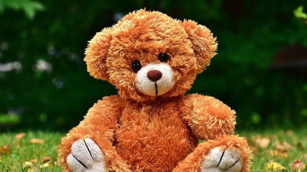 عرض الباحثون عشرات الآلاف من الصور ومن بينها دمية لدب محشو.