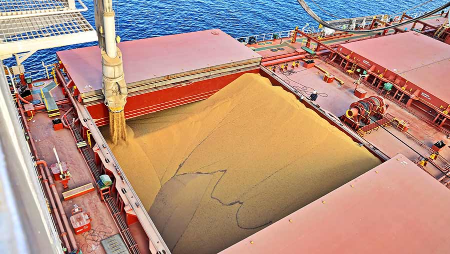 ارتفع سعر القمح أكثر من 5 في المائة خلال 4 أيام